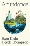 Currently Reading: Abundance by Ezra Klein