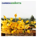 Andorra by Caribou [3 scrobbles]