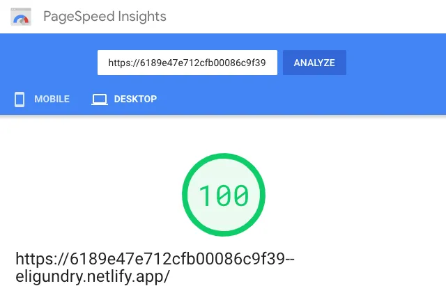 Google Page Speed Insights Desktop 100 score